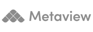 Metaview-1